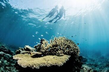هتل Kokomo Private Island Fiji