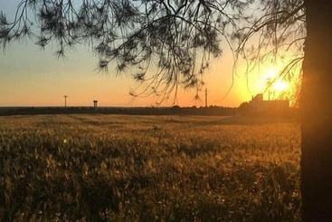 هتل روستایی Masseria Fabrizio