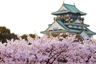 هتل Sotetsu Fresa Inn Kitahama