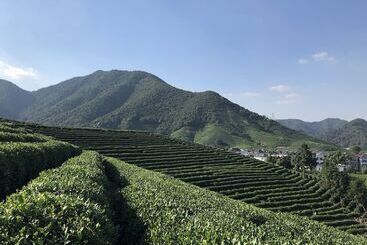 هتل Le Méridien Hangzhou, Binjiang