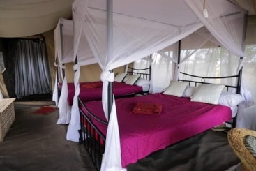 هتل Serengeti Wildebeest Camp