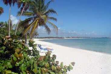 هتل Alea Tulum