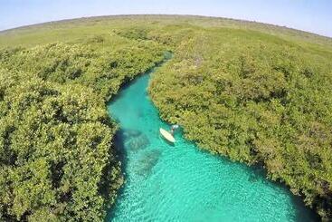 هتل Alea Tulum