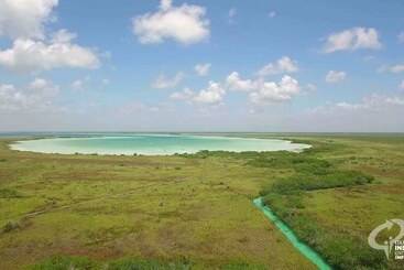 هتل Alea Tulum
