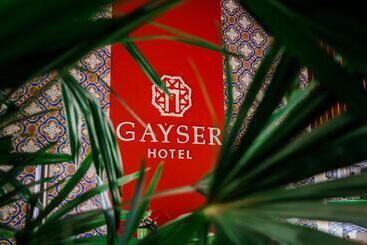 בית מלון כפרי Gayser