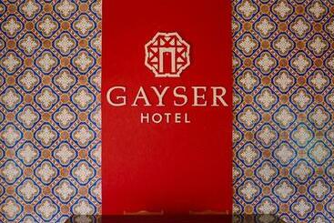 בית מלון כפרי Gayser