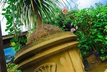 Ella Flower Garden Resort