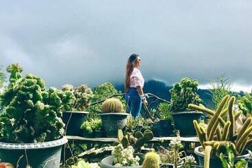 Ella Flower Garden Resort