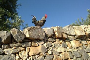 هتل Agriturismo Masseria Spetterrata