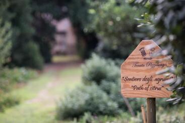 هتل Azienda Agrituristica Tenuta Pizzolungo