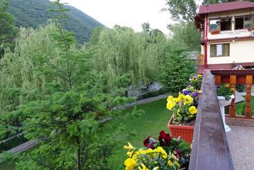 Pension Cuibul Viselor