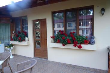 Pension Cuibul Viselor