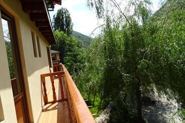 Pension Cuibul Viselor
