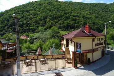 Pension Cuibul Viselor