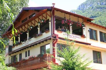 Pension Cuibul Viselor