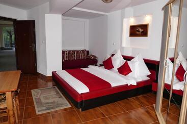 Pension Cuibul Viselor