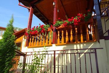 Pension Cuibul Viselor