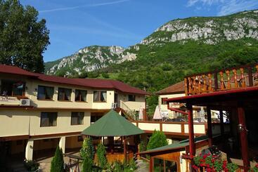 Pension Cuibul Viselor