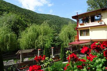 Pension Cuibul Viselor