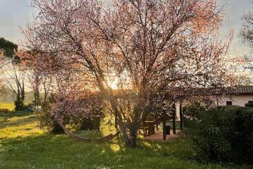 Casa Vacanze Nonna Vittoria