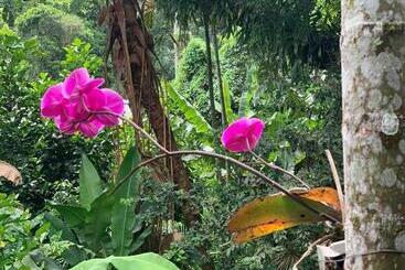 پانسیون Pousada Cachoeira