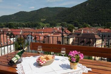 پانسیون Gästehaus Turm Wachau