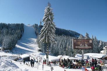 Aparthotel Pine Hills Pamporovo