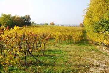 هتل Agriturismo Radaméz