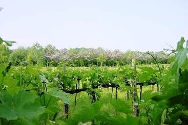 هتل Agriturismo Radaméz