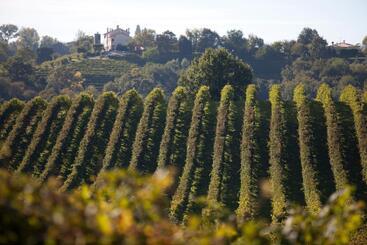 هتل Azienda Agrituristica Calronche