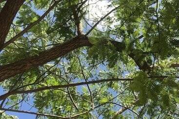پانسیون Brisa Da Serra Pousada Em Sobral Ce