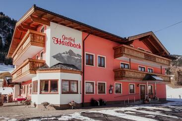 Пансион Gasthof Haidbach