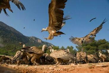 پانسیون Observatorio De Aves Mas De Bunyol