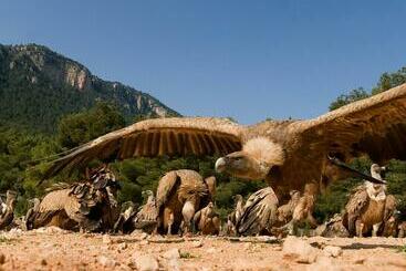 پانسیون Observatorio De Aves Mas De Bunyol