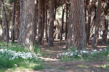 هتل Pier Delle Vigne B&b