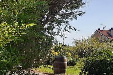 هتل Pier Delle Vigne B&b