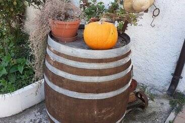 هتل Pier Delle Vigne B&b