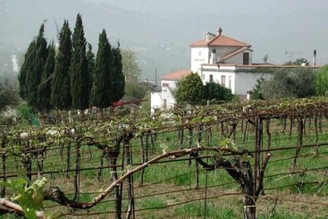 هتل Pier Delle Vigne B&b
