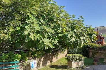 هتل Pier Delle Vigne B&b