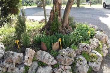 هتل Pier Delle Vigne B&b