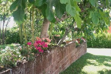 هتل Pier Delle Vigne B&b