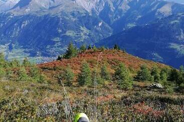 ユースホステル Landgasthof Steiner
