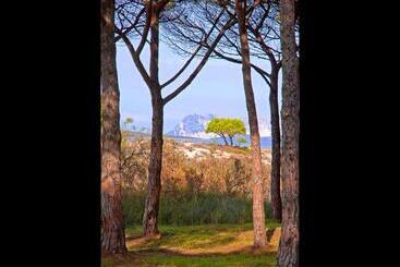 Residenze Mare E Pineta