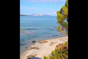 Residenze Mare E Pineta