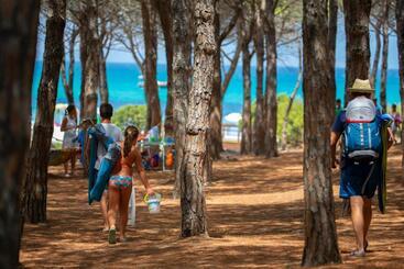 Residenze Mare E Pineta