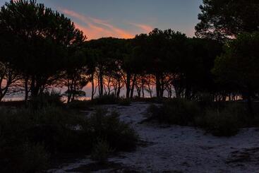 Residenze Mare E Pineta