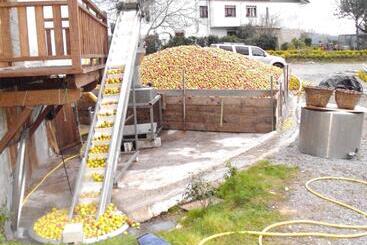 Casa Rural Arratzain - Usurbil