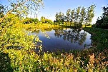 펜션 Domaine De La Bellière