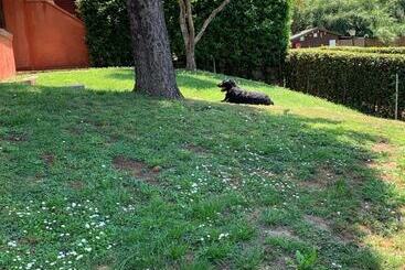 Aurelia Rta Detta Il Cascinale