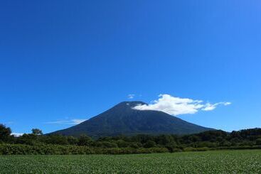 پانسیون Niseko Oac Lodge